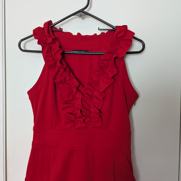 Chic Scarlet Ruffle Mini Dress - Picture 5 of 6